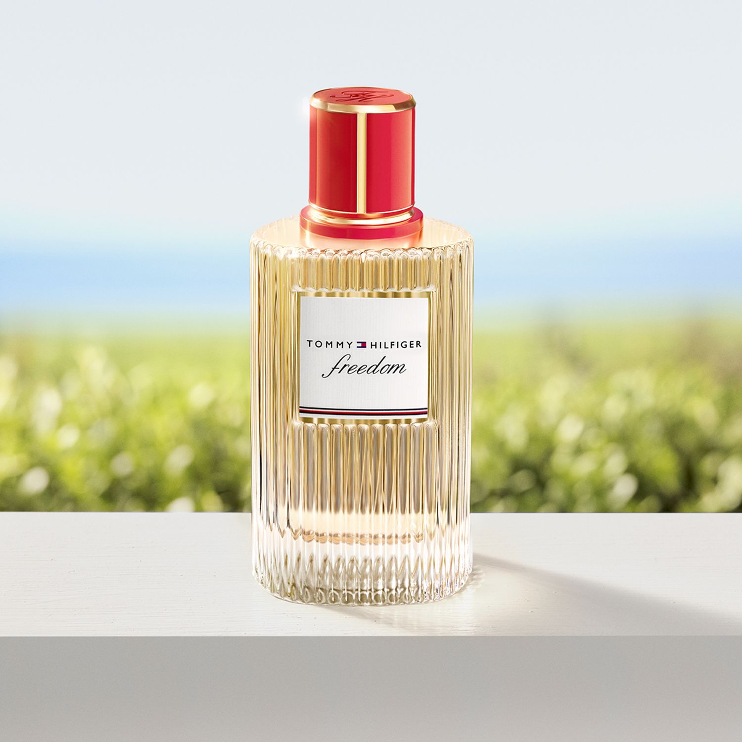 TOMMY HILFIGER Freedom Eau de Parfum