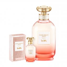Dreams Sunset Eau de Parfum 90ml & gratis Miniatur 